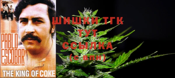 мдпв Магадан