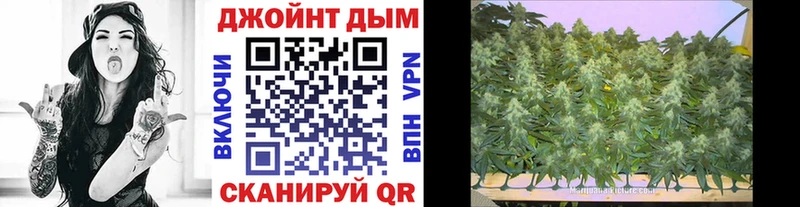 Марихуана марихуана  наркошоп  ссылка на мегу как зайти  Скопин 
